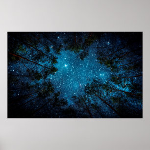 Poster Beau ciel nocturne, la Voie Lactée et les arbres.