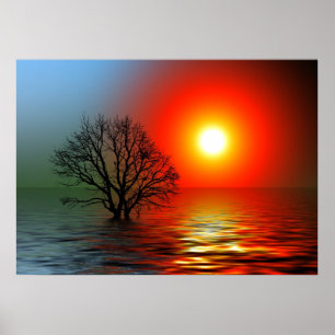 Poster Beau coucher de soleil