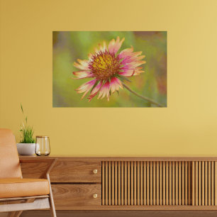Poster Beau Fleur sauvage Firewheel Art