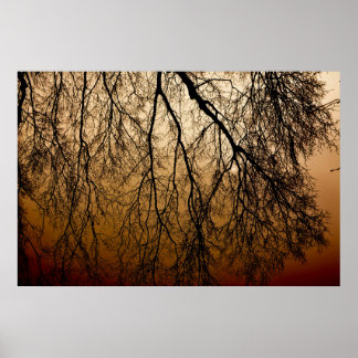 Poster Beau lever de soleil d'automne derrière les arbres