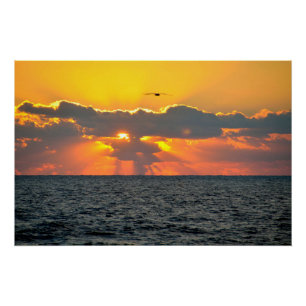 Poster Beau lever de soleil de plage océanique