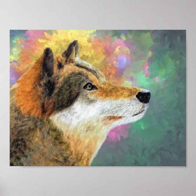 Poster Beau loup (Devant)