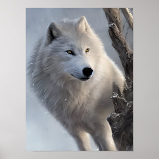 Poster Beau Loup Blanc Art