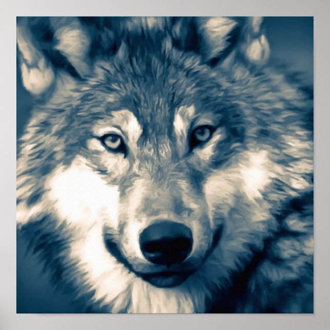 Poster Beau loup gris animal de forêt (Devant)