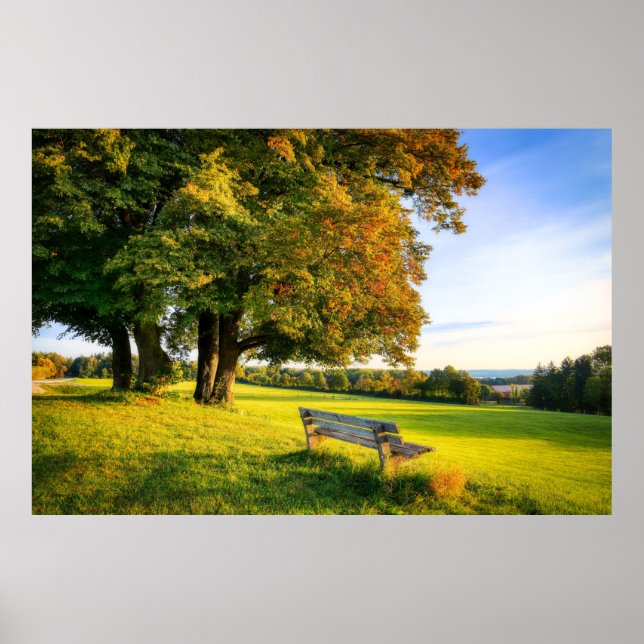 Poster Beau paysage d'automne (Devant)