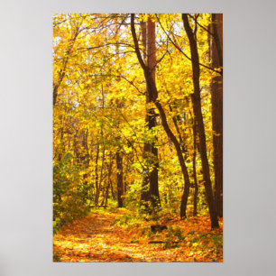Poster Beau Paysage - Route En Forêt D'Automne