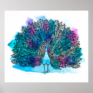Poster Beau Peacock Loisirs à main Composé de nombreux de