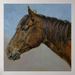 Poster Beau Portrait Brown Horse