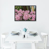 Beau Rhododendron Rose fleurit Floral