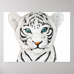 Poster Beau Tigre Blanc Avec Yeux Bleus