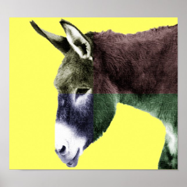 Poster Beaucoup de couleurs Burro (Devant)