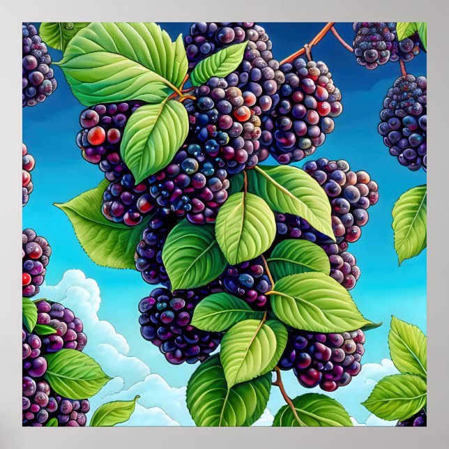 Poster Beaucoup de peinture de fruits noirs. (Devant)