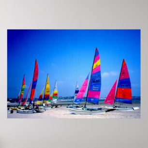 Poster Beaucoup de voiliers Hobie à Jersey