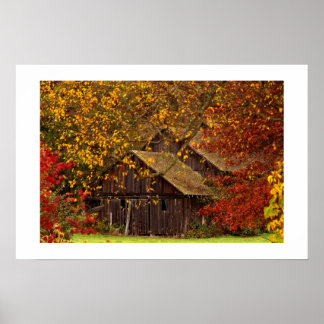 Poster Beauté cachée.