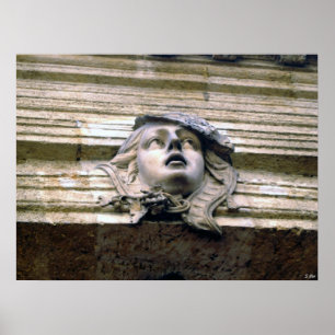 Poster Beauté de bronze