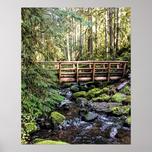 Poster Beauté de la luxure // Eaux paisibles (Devant)