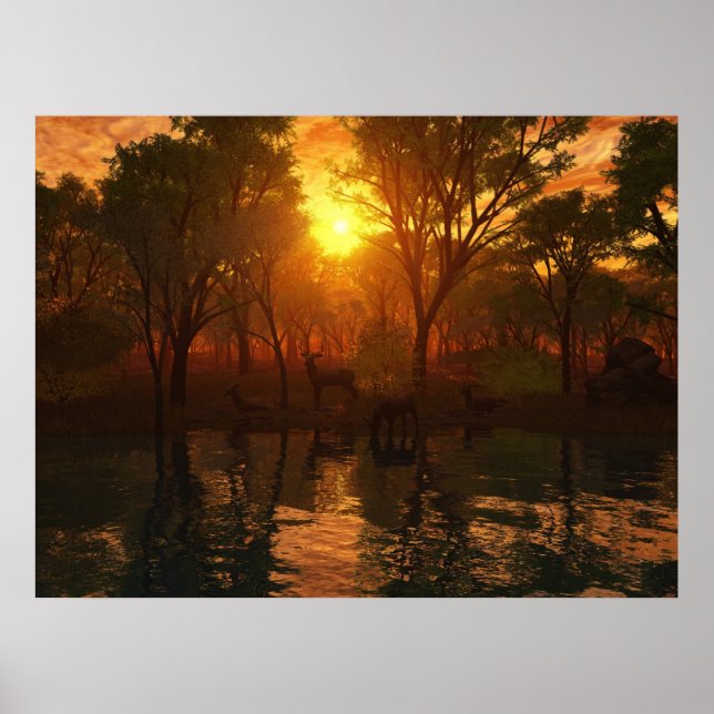 Poster Beauté De La Nature (Devant)