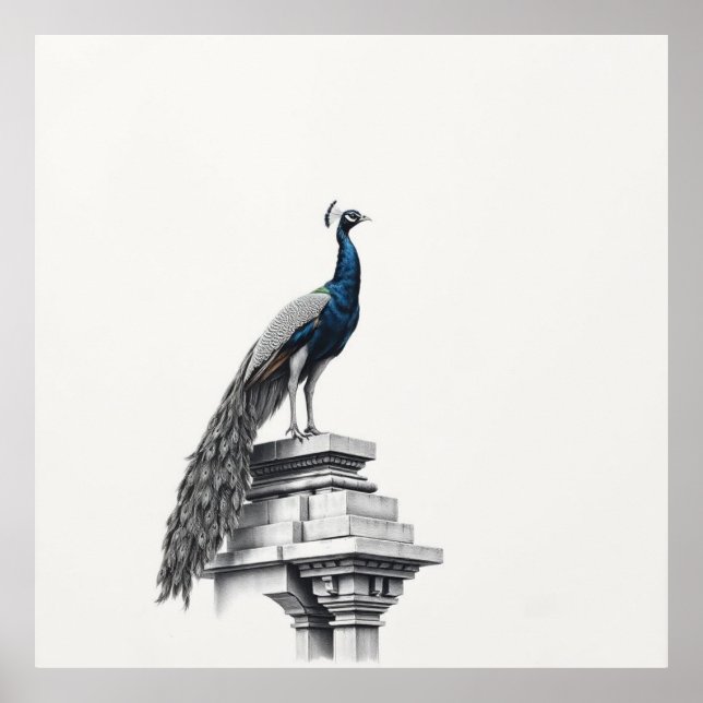 Poster Beauté de Regal : Peacock Art (Devant)