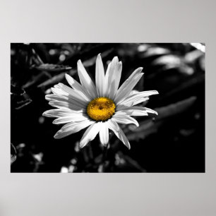 Poster Beauté d'été