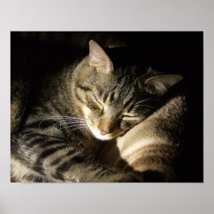 Poster Beauté dormante