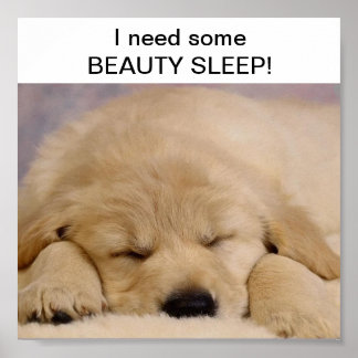 POSTER BEAUTÉ DORMIÈRE