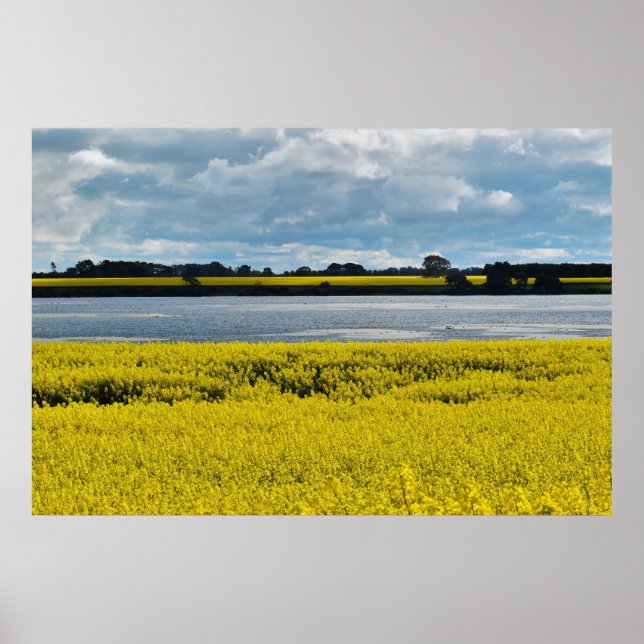 Poster Beauté du Streatham dramatique (Devant)