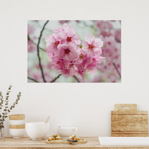 Poster Beauté japonaise, fleurs de cerisiers rose floral