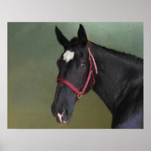 Poster Beauté noire