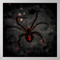 beauté noire