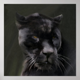 Poster Beauté noire