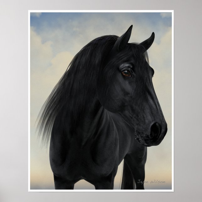 Poster Beauté noire - Portrait de Cheval friésien noir (Devant)