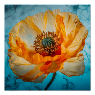 Poster Beauté orange