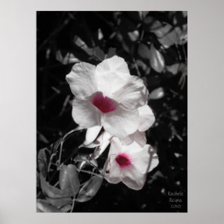 Poster Beauté passionnante