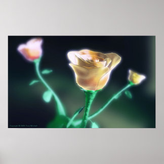 Poster Beauté subtile