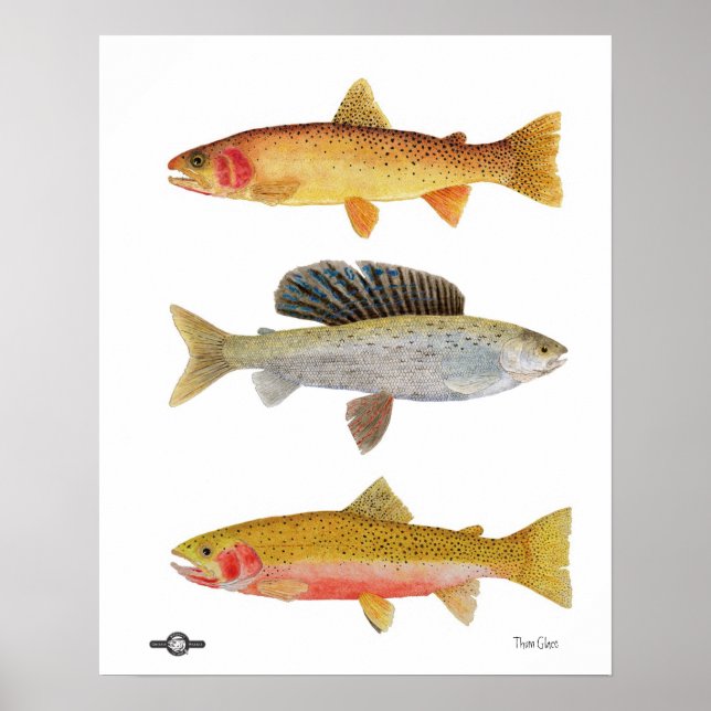 Poster Beautés du Montana (Devant)