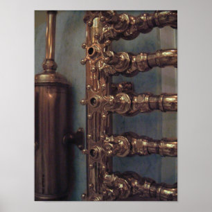 Poster Beautés en cuivre