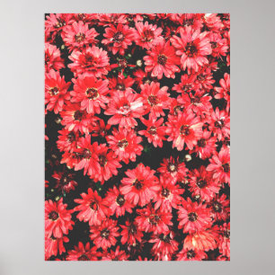 Poster beautiful flowers of red color, flower pattern, be