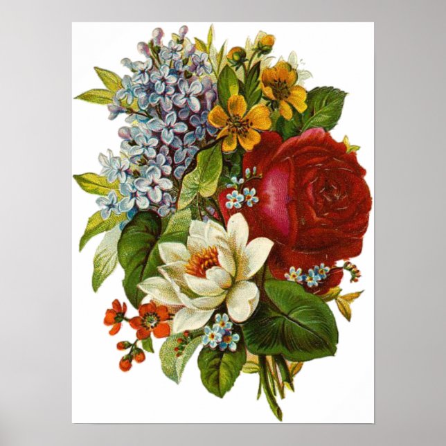 Poster Beautiful Romantic Summer Bouquet with Red Rose (Devant)