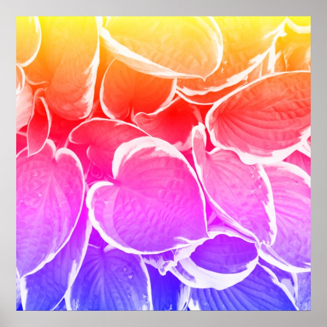 Poster Beaux-arts de feuilles (Devant)