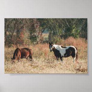 Poster Beaux CHEVAUX d'automne Archivage d'affiche Imprim