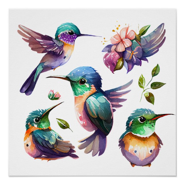 Poster Beaux et mignons colibris pour les amateurs d'oise (Devant)