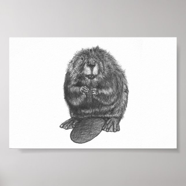 Poster Beaver (Devant)