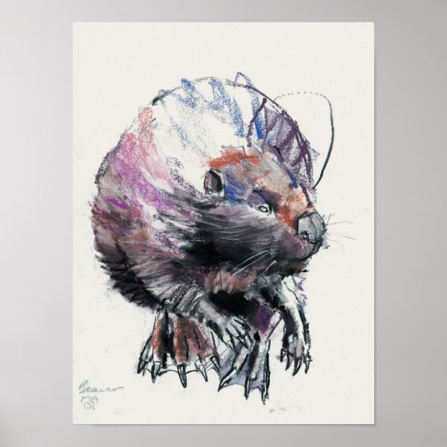 Poster Beaver 2001 (Devant)