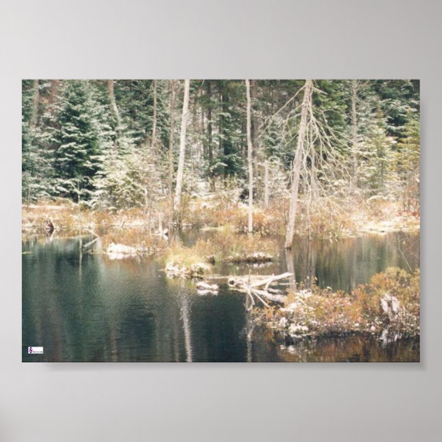 Poster Beaver Pond (Devant)
