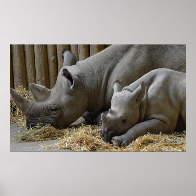 Poster bébé (Devant)