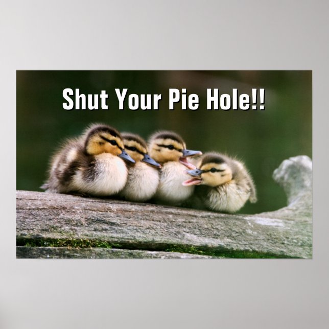 Poster Bébé Canards (Devant)