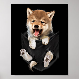 Poster Bébé Loup Mignon Dans Les Animaux De Poche Amoureu