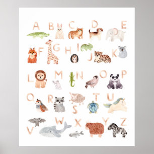 Poster Bébé mignon Alphabet animal