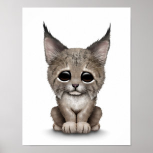 Poster Bébé mignon Lynx CUB sur le blanc