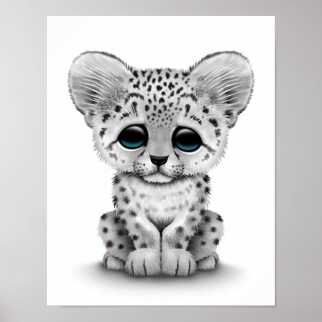 Poster Bébé mignonne Léopard de neige sur blanc (Devant)